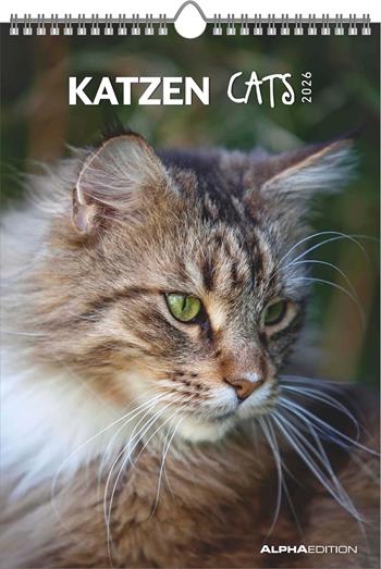 ALPHA EDITION - Calendario 2026 da muro, 12 mesi, 23,7x34 cm, Cats  Alpha Edition 2025 | Libraccio.it