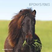 Alpha Edition - Calendario 2024 da muro Ponies, 12 mesi, 30x30 cm