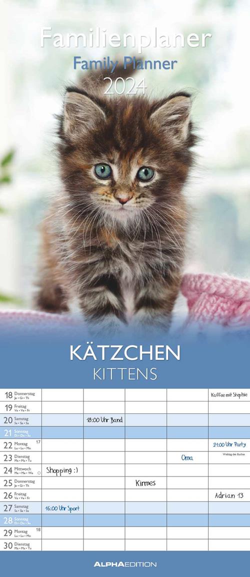 Alpha Edition - Calendario 2024 da muro per la famiglia Kittens, 12 mesi,  19,5x45 cm Alpha