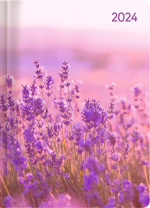 Alpha Edition Agenda Settimanale Ladytimer 2024, formato tascabile 10