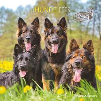 Alpha Edition - Calendario 2025 da muro Dogs, 12 mesi, 30x30 cm  Alpha Edition 2024 | Libraccio.it
