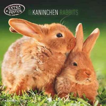 Alpha Edition - Calendario 2025 da muro Rabbits, 12 mesi, 30x30 cm  Alpha Edition 2024 | Libraccio.it
