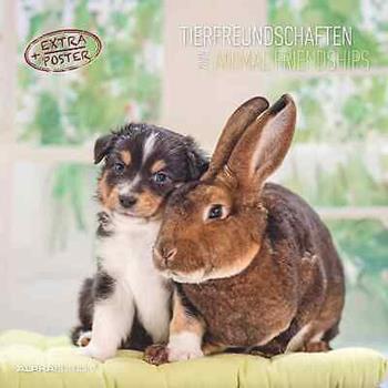 Alpha Edition - Calendario 2025 da muro Animal Frienship, 12 mesi, 30x30 cm  Alpha Edition 2024 | Libraccio.it