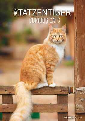 Alpha Edition - Calendario 2025 da muro Curious Cats, 12 mesi, 29x42 cm  Alpha Edition 2024 | Libraccio.it