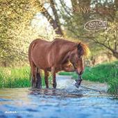 Alpha Edition - Calendario 2025 da muro Ponies, 12 mesi, 30x30 cm