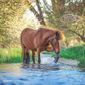 Alpha Edition - Calendario 2025 da muro Ponies, 12 mesi, 30x30 cm  Alpha Edition 2024 | Libraccio.it