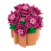 Peonia Estiva - 115 pz.