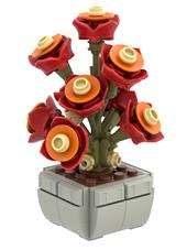 Camelia Tramonto - 119 pz.
