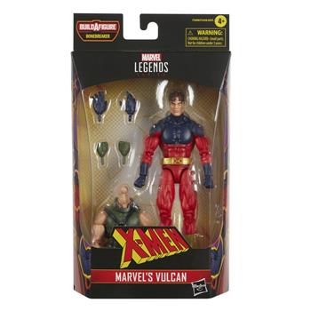 Hasbro Marvel Legends Series, X-Men Marvel's Vulcan, action figure collezionabile da 15 cm, con 2 accessori  Hasbro 2022 | Libraccio.it