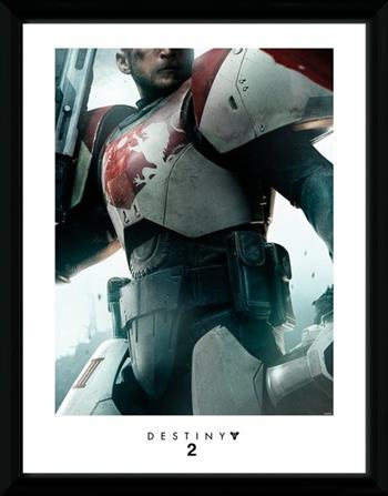 Stampa In Cornice 30x40 Destiny 2. Titan  GB Eye 2025 | Libraccio.it