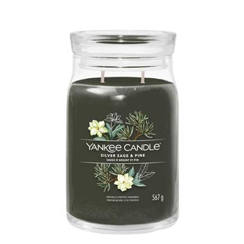 Giara Grande Signature Silver Sage & Pine  Yankee Candle 2025 | Libraccio.it