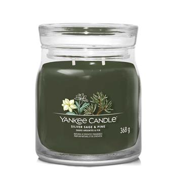 Giara Media Signature Siver Sage & Pine  Yankee Candle 2025 | Libraccio.it