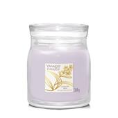 Giara media signature lavender bliss