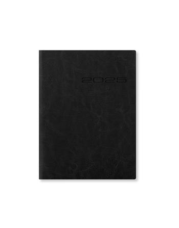 Agenda annuale 2025 Letts 12 Mesi, Lecassa A6+ settimanale nero - 16,5 x 12 cm  Letts 2024 | Libraccio.it