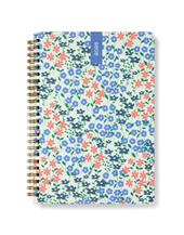 Agenda accademica 2025-2026 Spring Valley A5 Settimanale Verde Acqua (18 mesi) - 21 x 14,8 cm