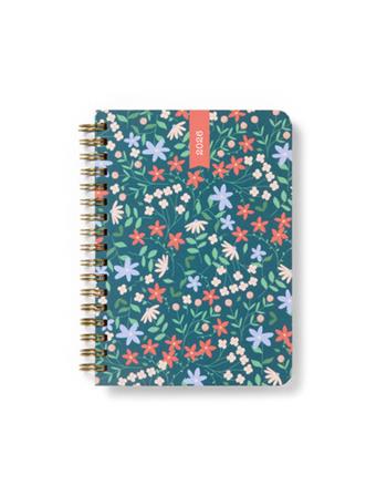 Agenda accademica 2025-2026 Spring Valley A6 Settimanale Verde (18 mesi) - 14,8 x 10,5 cm  Letts 2025 | Libraccio.it