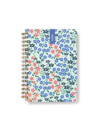 Agenda accademica 2025-2026 Spring Valley A6 Settimanale Verde Acqua (18 mesi) - 14,8 x 10,5 cm  Letts 2025 | Libraccio.it