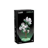 Camelia - 278 pz