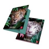 Cartella 3 Lembi Pigna Animal Dorso 1,202338783L