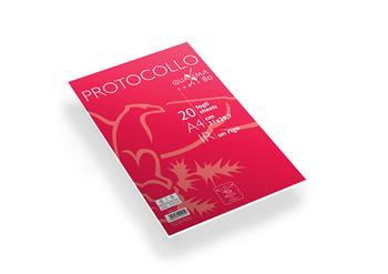 Confezione 20 fogli protocollo a righe, Gr.80 - 21 x 29,7 cm  Pigna 2023 | Libraccio.it