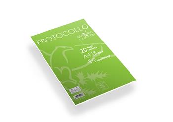 Confezione 20 fogli protocollo a quadretti 4mm, Gr.80 - 21 x 29,7 cm  Pigna 2023 | Libraccio.it