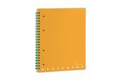 Quaderno Maxi Skip Monocromo Green, quadretti grandi 5mm 60 Ff/Sh con Microperforazione e 4 Fori - 22 x 29,7 cm