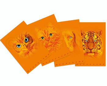 Quaderno Maxi Monocromo Orange 38Ff - Fsc - Q, a quadretti 5mm  Monocromo 2025 | Libraccio.it