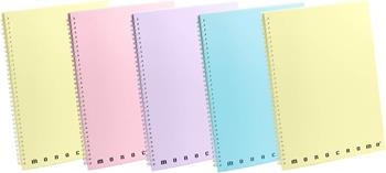 Quaderno A5 Monocromo Skip Ppl Pastel - Fsc con Fori 1 R, a righe  Monocromo 2025 | Libraccio.it