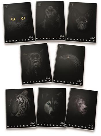Confezione da 10 quaderni, Maxi Monocromo Black 38Ff/Sh Gr.100 , 1R, a righe  Pigna 2024 | Libraccio.it