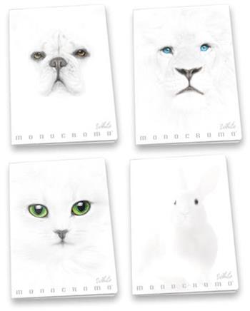 Confezione da 10 quaderni, Maxi Quaderno Monocromo White 38Ff, 5M, a quadretti 5mm  Pigna 2024 | Libraccio.it