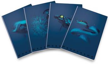 Confezione da 10 quaderni, Maxi Monocromo Blue 38Ff/Sh, 5M, a quadretti 5mm  Pigna 2024 | Libraccio.it