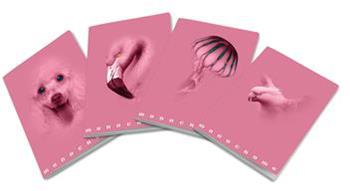 Confezione da 10 quaderni, Maxi Monocromo Pink 38Ff/Sh, 1R, a righe  Pigna 2024 | Libraccio.it