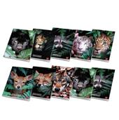 Confezione 10 Quaderni Maxi Pigna Animal - 42 Fogli - Righe (1R)