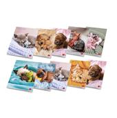 Confezione 10 Quaderni Maxi Pigna Dolci Cuccioli - 42 Fogli - Quadretti 4 mm con Margine