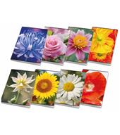 Confezione 10 Quaderni Maxi Pigna Macro Flowers - 42 Fogli - Quadretti 4 mm (4M)