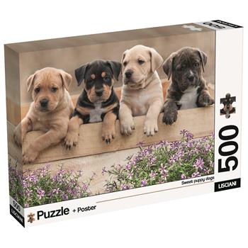 Puzzle + poster Dogs 500, 120536  Lisciani 2026 | Libraccio.it