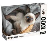 Puzzle + poster Cats 1000, 120543