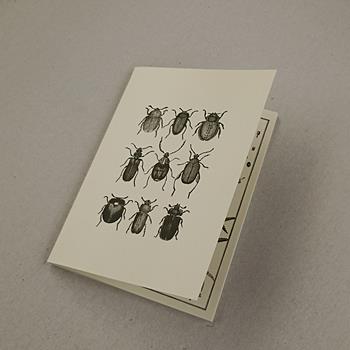 Quaderno Rossi 1931, copertina soft, eco Friendly Paper, 64 pagine avorio A5, Vintage Scarafaggi - 15 x 21 cm  Rossi 1931 2022 | Libraccio.it