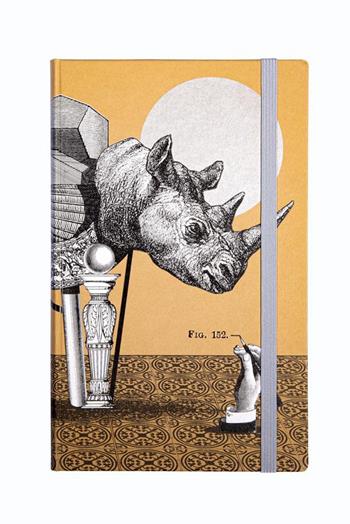 Quaderno Hard Cover, pagine a righe Oltre le Ombre - 13 x 21 cm  otto d'ambra x Feltrinelli 2023 | Libraccio.it