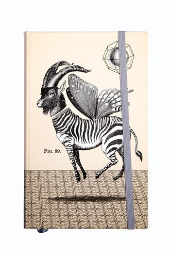 Quaderno Hard Cover, pagine a righe Coraggio e Fantasia - 13 x 21 cm  otto d'ambra x Feltrinelli 2023 | Libraccio.it