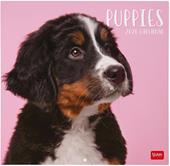 Calendario 2026 da Parete  - Puppies - 30 x 29 cm