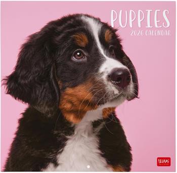 Calendario 2026 da Parete - Puppies - 30 x 29 cm  Legami 2025 | Libraccio.it