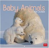 Calendario 2026 da Parete  - Baby Animals - 30 x 29 cm