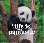 Calendario 2026 da Parete  - Life Is Pantastic - 30 x 29 cm