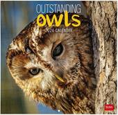 Calendario 2026 da Parete  - Outstanding Owls - 30 x 29 cm