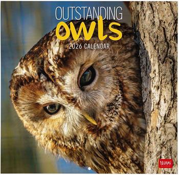 Calendario 2026 da Parete - Outstanding Owls - 30 x 29 cm  Legami 2025 | Libraccio.it