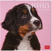 Calendario 2026 da Parete  - Puppies - 18 x 18 cm