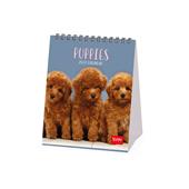 Calendario da tavolo Legami 2027 Dogs - Puppies 12X14.5