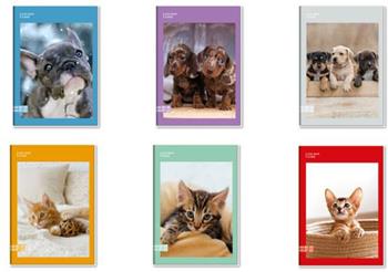 Quaderno A4 Maxi 96/100 Colour Code Animal Snapshot, 1 Rigo - 21 x 30 cm  Colour Code 2023 | Libraccio.it