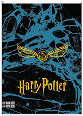 Quaderno A4 Maxi 96/100 Harry Potter, 5 M - Quadretti grandi 5 mm - 21 x 30 cm